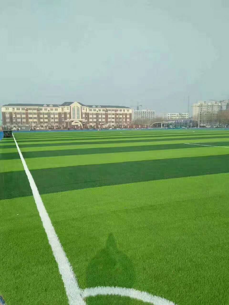 广州市塑胶跑道材料仿真草坪 - 一站式服务